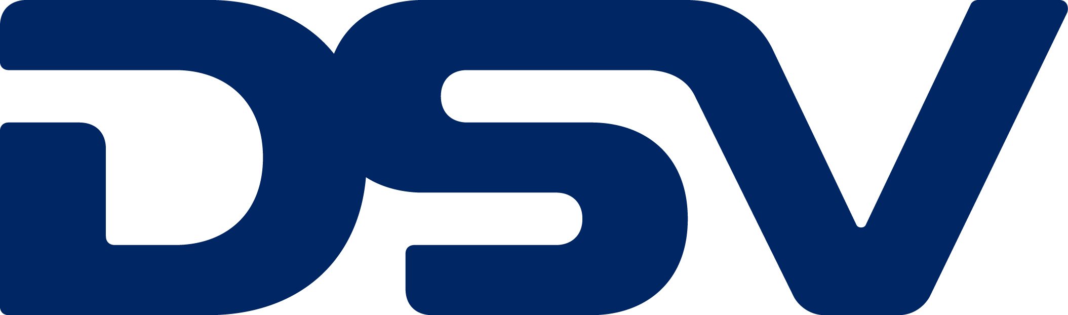 dsv_logo